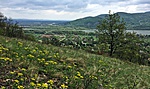 gceszp-IMG_7690