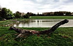 gcmayr-IMG_8426