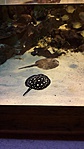 20170414_140026