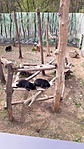 20170414_133653