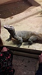 20170414_103119