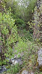 20170429_082820