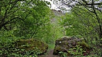 20170429_085020