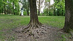 20170429_171736