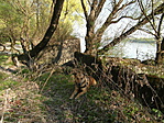 SAM_1130