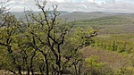 IMG_20170408_095556