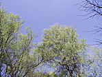 DSCF4491