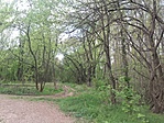GCVEHe_20170410124558.jpg