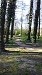 20170331_164736