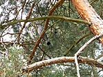 DSCF0349