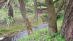 20170429_135138