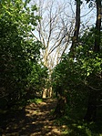 GCKaVi_20170414_164754