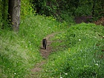 DSCF2544