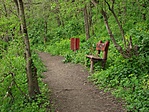 DSCF2568