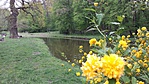 20170422_151646