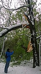 WP_20170420_040