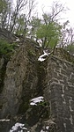WP_20170420_061