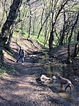 IMG_2475