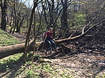 IMG_2514
