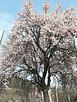 20170325_103806