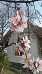 20170325_105207