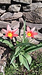 20170325_140301