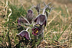 Zemplén 053