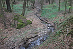 Mecsek 069