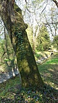 20170402_153628