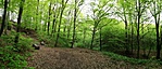 IMG_20170414_124811[1]