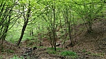 IMG_20170414_125040[1]