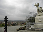P4221333