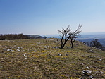 20170401_121222