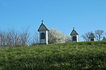 IMG_6073