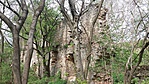 20170413_140600