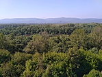 Visegrádi