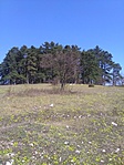 IMG_20170401_135032