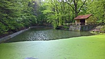 WP_20170416_10_00_58_Rich_LI