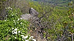 WP_20170416_11_53_02_Rich_LI
