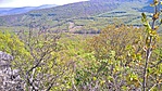 WP_20170416_11_53_26_Rich_LI