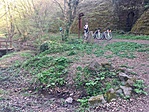 IMG_1312