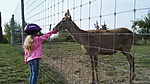 IMG_20170416_164909