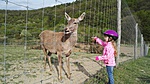 IMG_20170416_165127