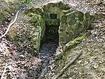 IMG_8491