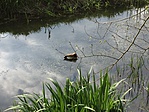 IMG_8674