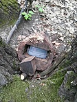 GCHold_2017049135811.jpg
