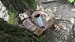 GCHold_20170417125631.jpg