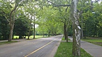 Kép 031