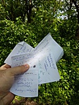 2017-05-13 14.55.49R