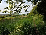 2017-05-13 14.53.20R